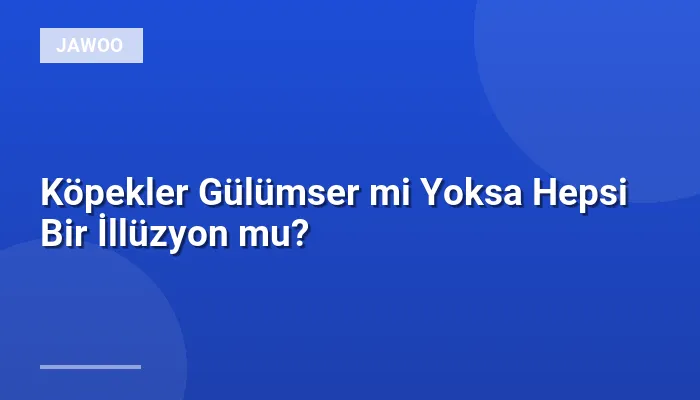 Köpekler Gülümser mi Yoksa Hepsi Bir İllüzyon mu?