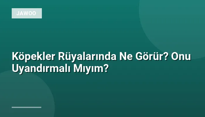 Köpekler Rüyalarında Ne Görür? Onu Uyandırmalı Mıyım?