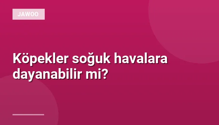 Köpekler soğuk havalara dayanabilir mi?