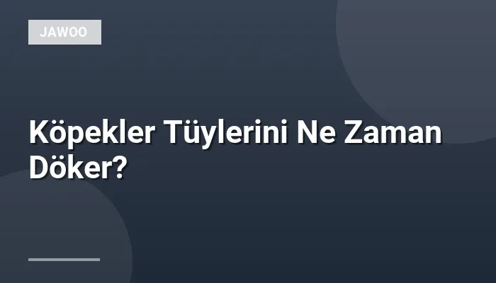 Köpekler Tüylerini Ne Zaman Döker?