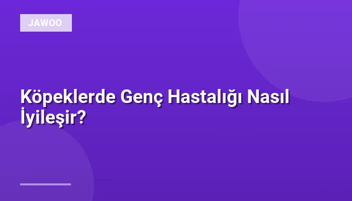 Köpeklerde Genç Hastalığı Nasıl İyileşir?