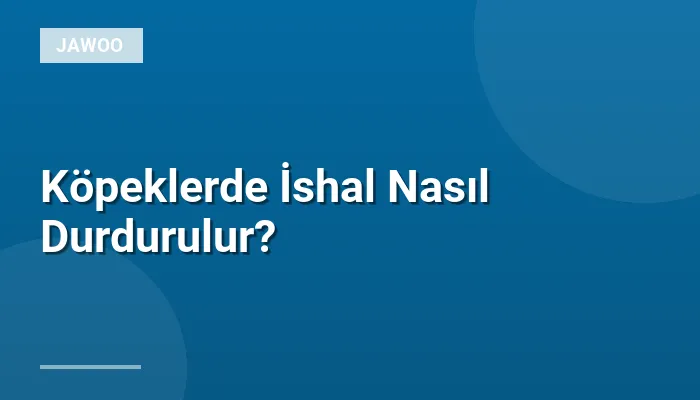 Köpeklerde İshal Nasıl Durdurulur?