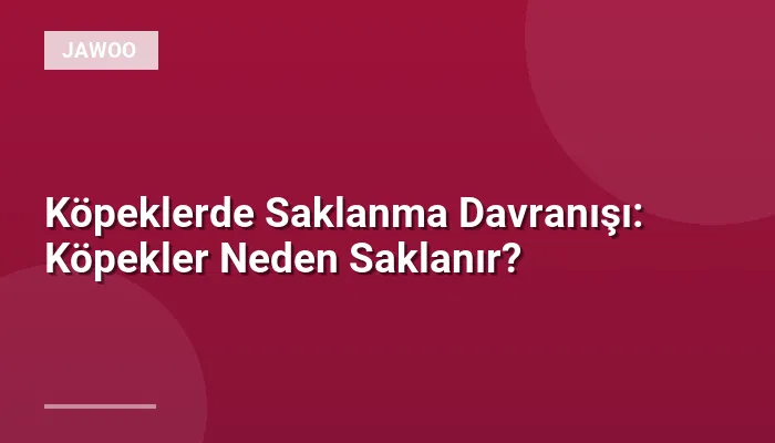 Köpeklerde Saklanma Davranışı: Köpekler Neden Saklanır?