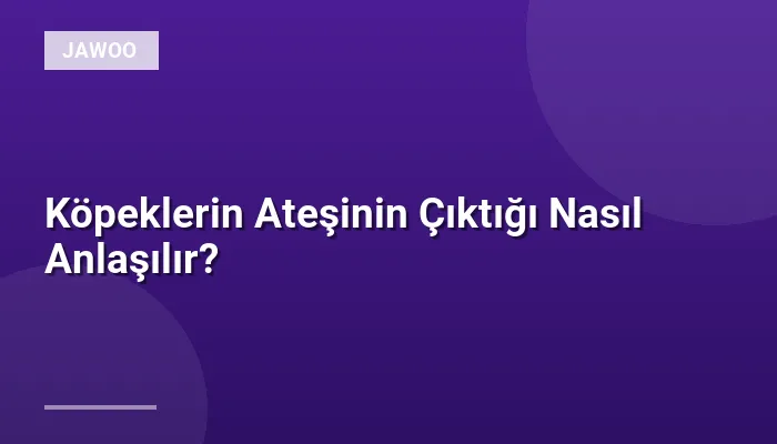 Köpeklerin Ateşinin Çıktığı Nasıl Anlaşılır?