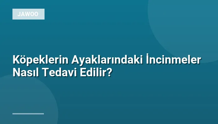 Köpeklerin Ayaklarındaki İncinmeler Nasıl Tedavi Edilir?