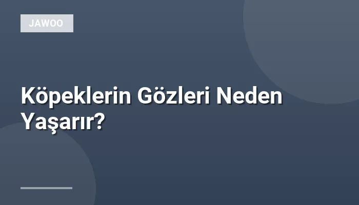 Köpeklerin Gözleri Neden Yaşarır?
