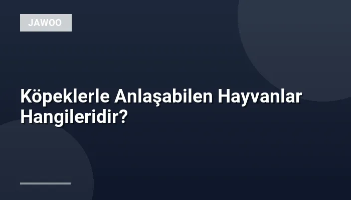 Köpeklerle Anlaşabilen Hayvanlar Hangileridir?