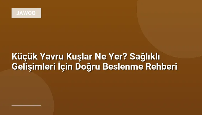Küçük Yavru Kuşlar Ne Yer? Sağlıklı Gelişimleri İçin Doğru Beslenme Rehberi
