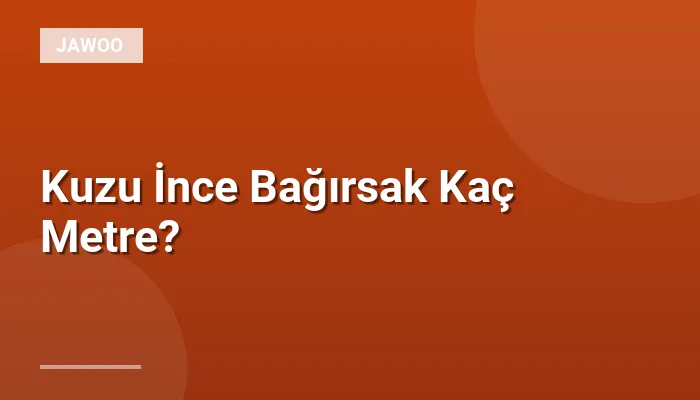 Kuzu İnce Bağırsak Kaç Metre?