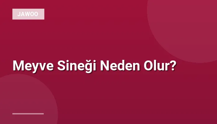 Meyve Sineği Neden Olur?