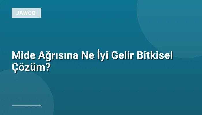 Mide Ağrısına Ne İyi Gelir Bitkisel Çözüm?