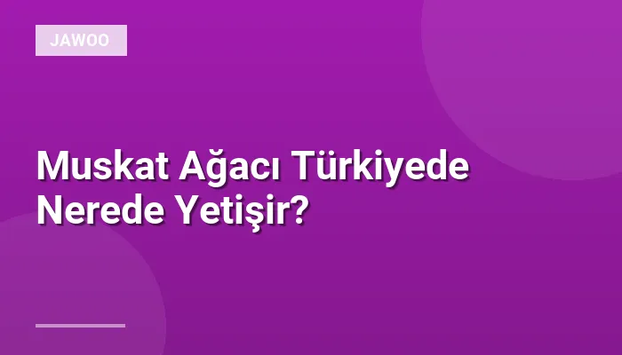 Muskat Ağacı Türkiyede Nerede Yetişir?
