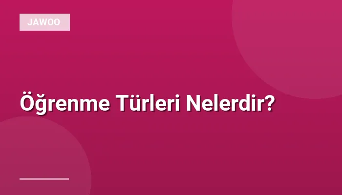 Öğrenme Türleri Nelerdir?