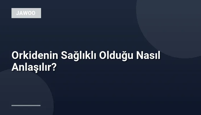 Orkidenin Sağlıklı Olduğu Nasıl Anlaşılır?