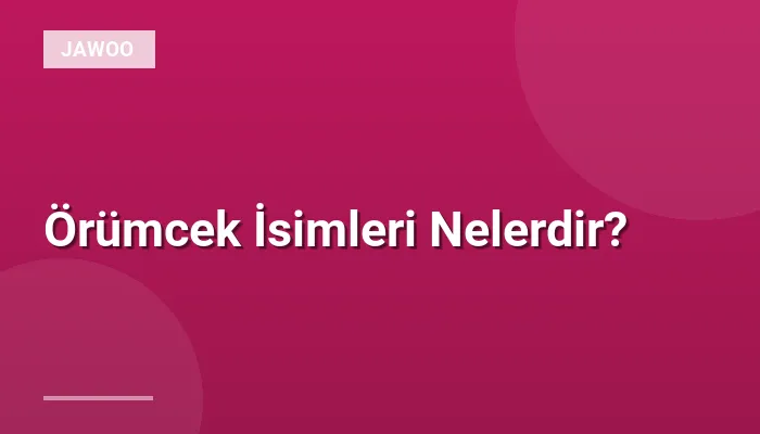 Örümcek İsimleri Nelerdir?