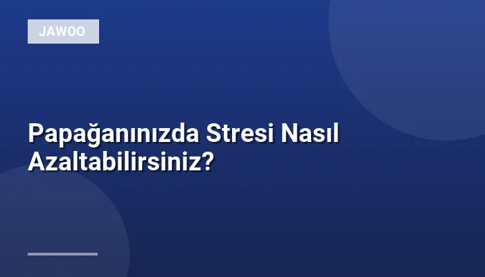Papağanınızda Stresi Nasıl Azaltabilirsiniz?