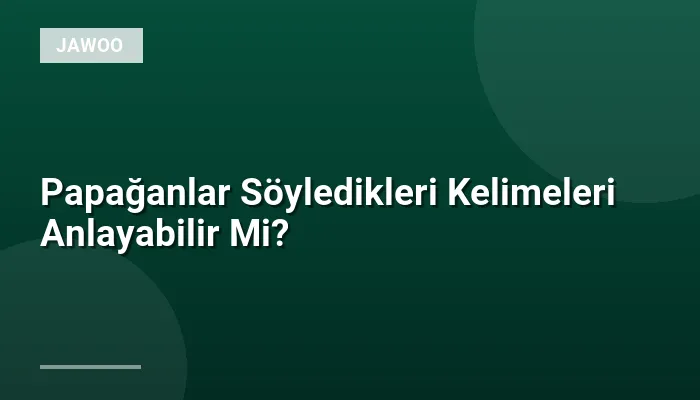 Papağanlar Söyledikleri Kelimeleri Anlayabilir Mi?