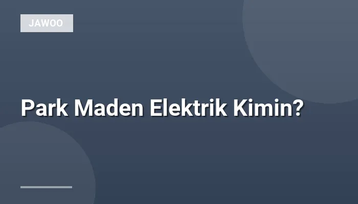 Park Maden Elektrik Kimin?