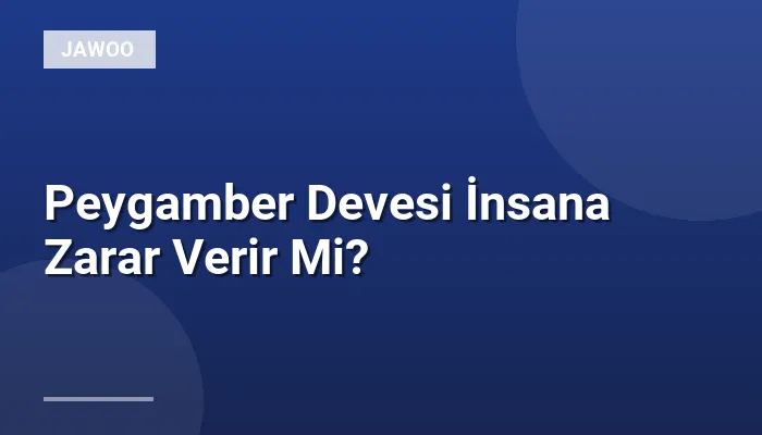 Peygamber Devesi İnsana Zarar Verir Mi?