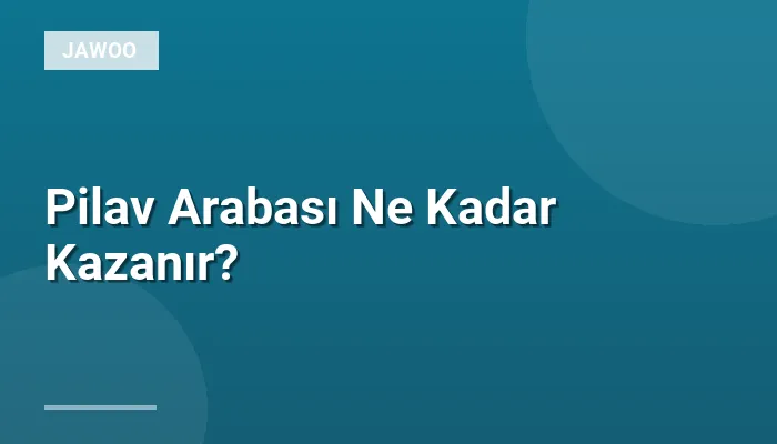 Pilav Arabası Ne Kadar Kazanır?