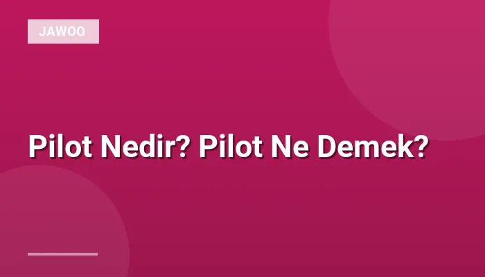 Pilot Nedir? Pilot Ne Demek?