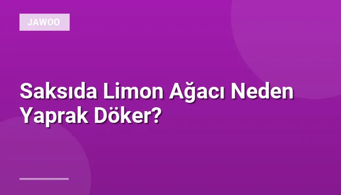 Saksıda Limon Ağacı Neden Yaprak Döker?