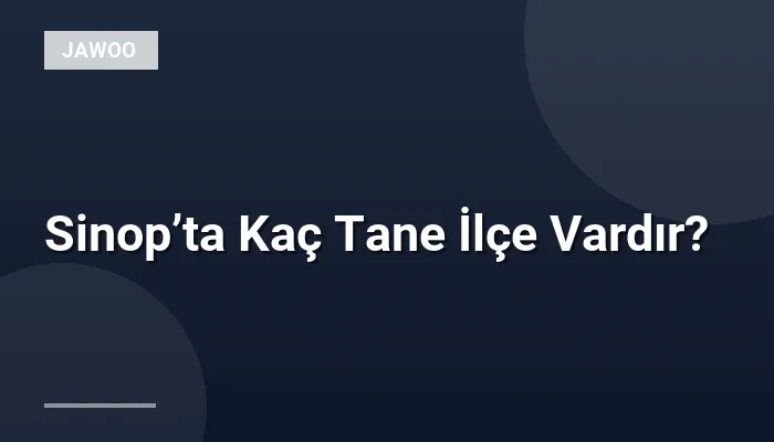 Sinop’ta Kaç Tane İlçe Vardır?