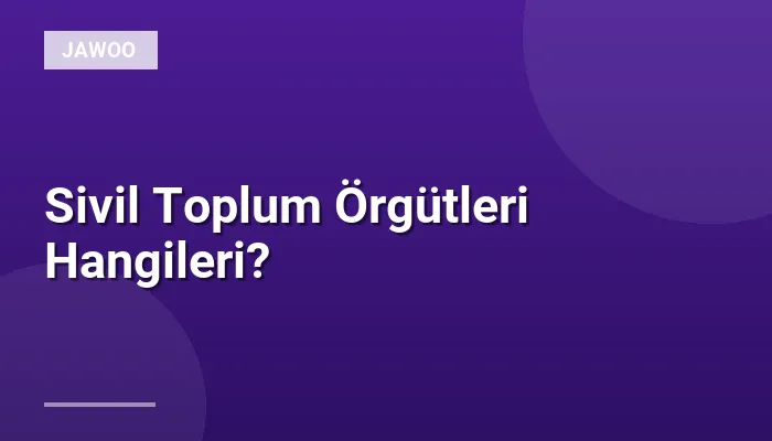 Sivil Toplum Örgütleri Hangileri?