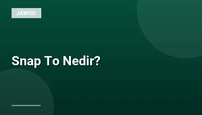 Snap To Nedir?