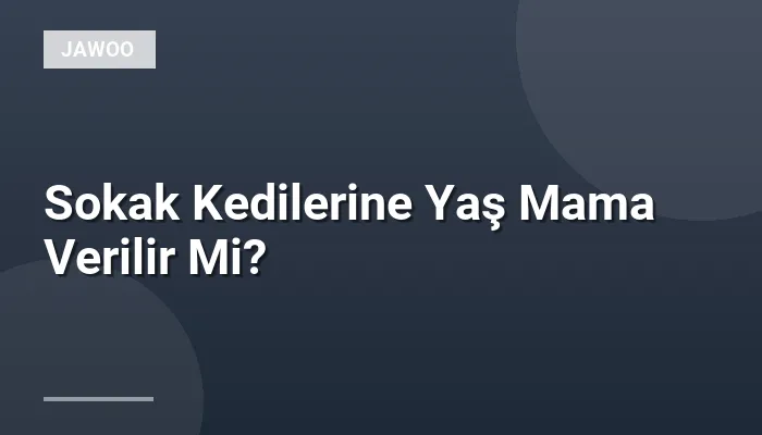 Sokak Kedilerine Yaş Mama Verilir Mi?