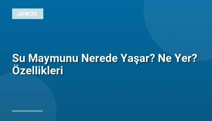 Su Maymunu Nerede Yaşar? Ne Yer? Özellikleri