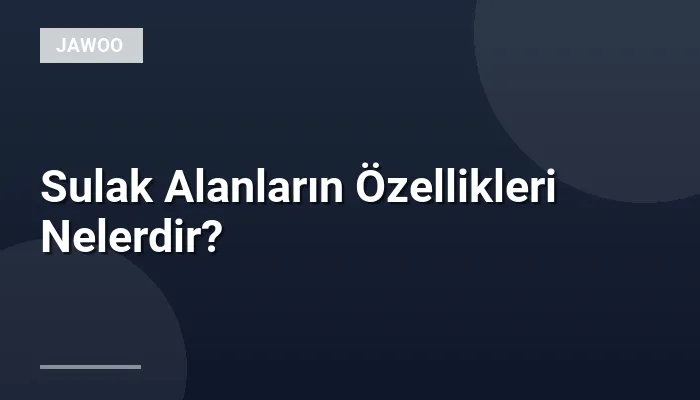 Sulak Alanların Özellikleri Nelerdir?