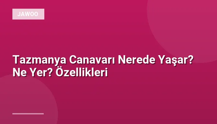 Tazmanya Canavarı Nerede Yaşar? Ne Yer? Özellikleri