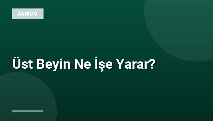 Üst Beyin Ne İşe Yarar?