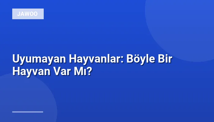 Uyumayan Hayvanlar: Böyle Bir Hayvan Var Mı?