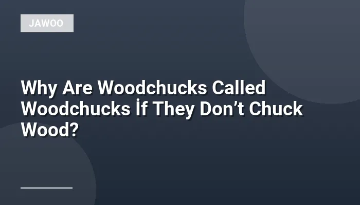 Why Are Woodchucks Called Woodchucks İf They Don’t Chuck Wood?