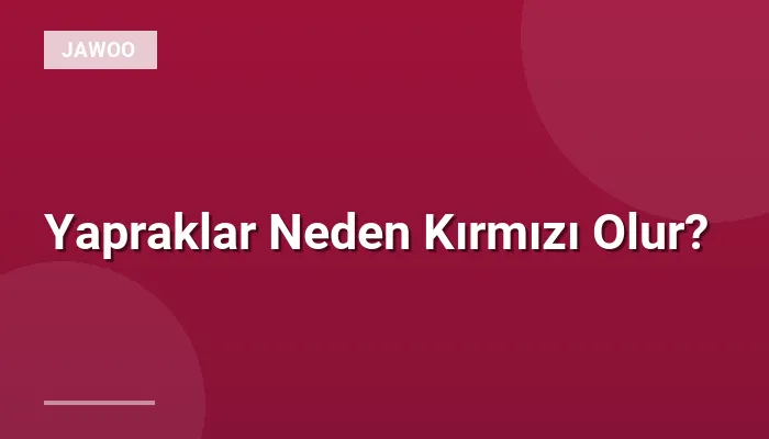 Yapraklar Neden Kırmızı Olur?