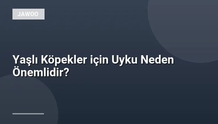Yaşlı Köpekler için Uyku Neden Önemlidir?