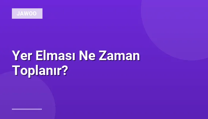 Yer Elması Ne Zaman Toplanır?