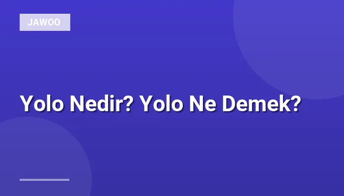 Yolo Nedir? Yolo Ne Demek?