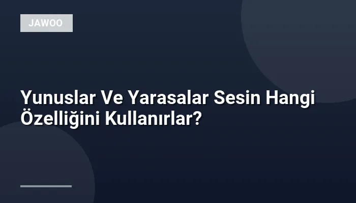 Yunuslar Ve Yarasalar Sesin Hangi Özelliğini Kullanırlar?