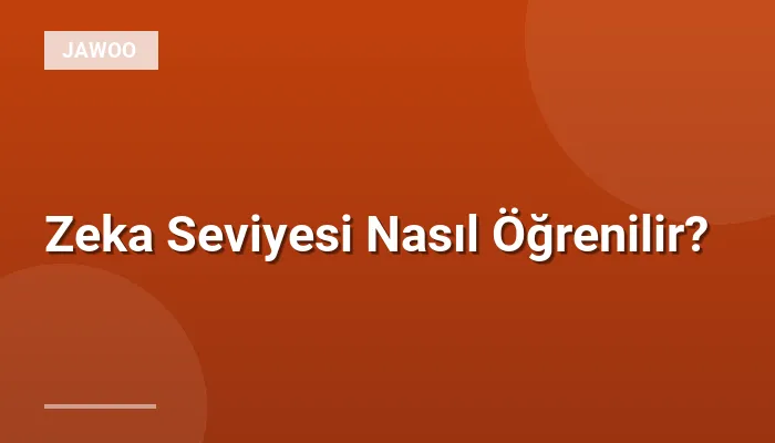 Zeka Seviyesi Nasıl Öğrenilir?